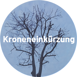 Kroneneinkürzung