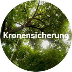 KronenSicherung