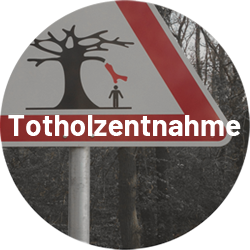 Totholzentnahme