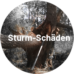 Sturm-Schäden